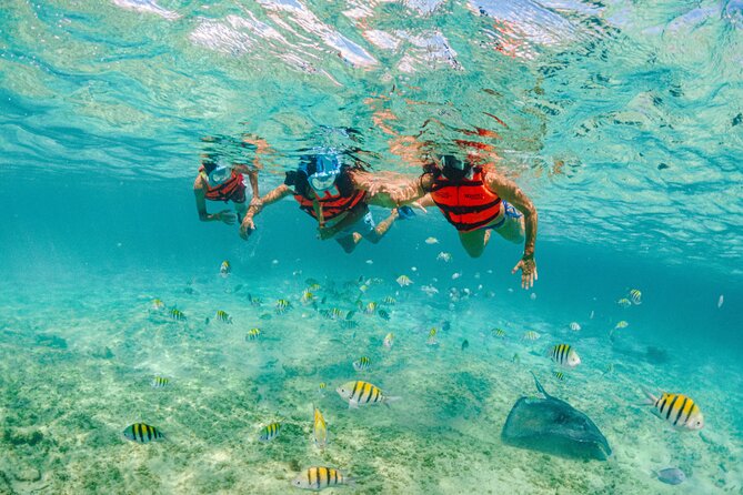 2 Day Combo Tour, Xcaret, Xel-Ha, Xplor and Chichen Itza Option - Who should book this combo?