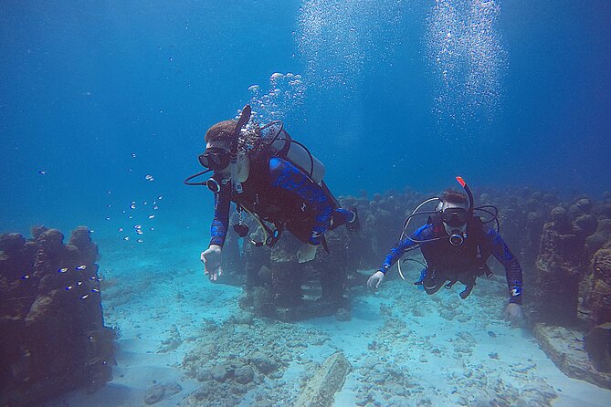 2 Days Class: SDI Open Water Diver Certification in Cancun - What this Cancun certification really involves