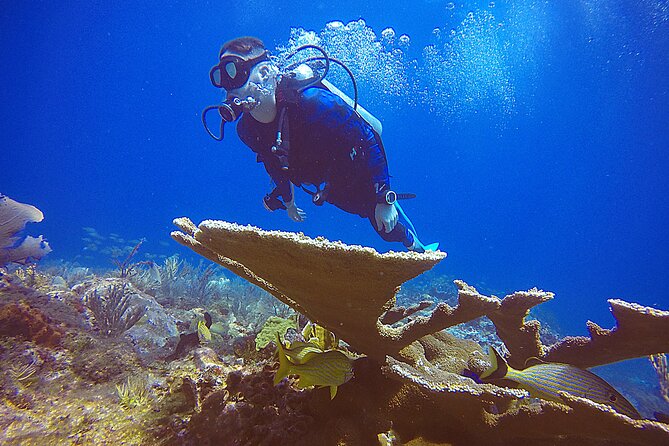 2 Days Class: SDI Open Water Diver Certification in Cancun - How the instructors shape the experience