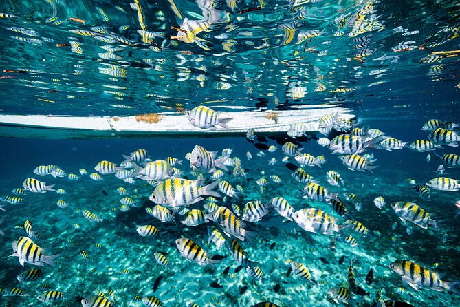 2 in 1 Parasail Cancun and Jet ski - The service can be warm, but communication is uneven
