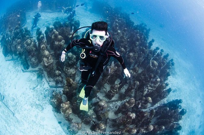 2 Tank Dives MUSA and Manchones reef (Certified divers) - MUSA’s sculptures at a shallow 25 to 33 feet