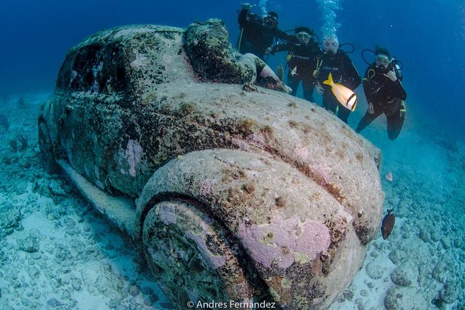 2 Tank Dives MUSA and Manchones reef (Certified divers) - What the small-group format means underwater