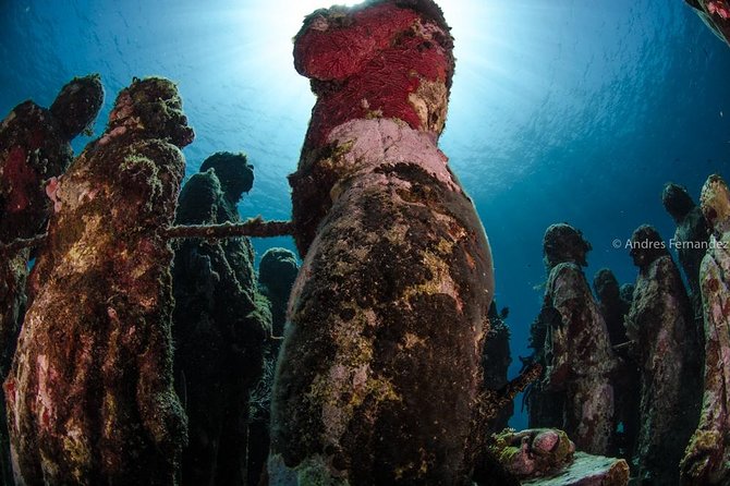 2 Tank Dives MUSA and Manchones reef (Certified divers) - The practical strengths of Squalo Adventures