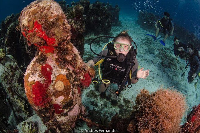 2 Tank Dives MUSA and Manchones reef (Certified divers) - Manchones reef provides the natural counterpoint
