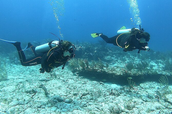 2 Tank Reef Dive in Mexico - The surface interval and second reef site