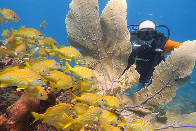 2 Tanks Dives Cancun Underwater Museum for Certified Divers - Equipment, wetsuit, and comfort