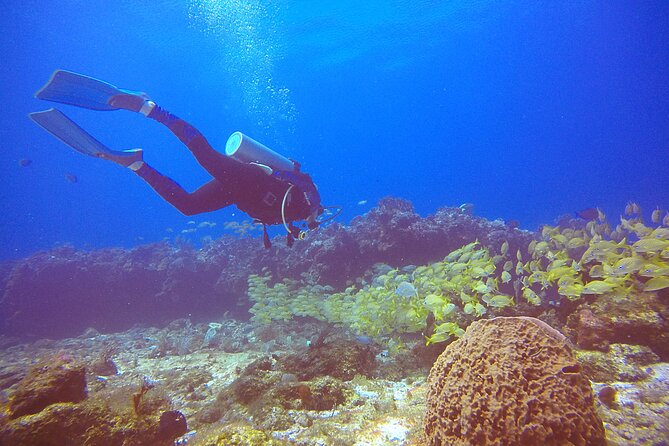 2 Tanks Scuba Diving in Punta Cancun Reefs for Certified Divers - The health rules are strict for good reason