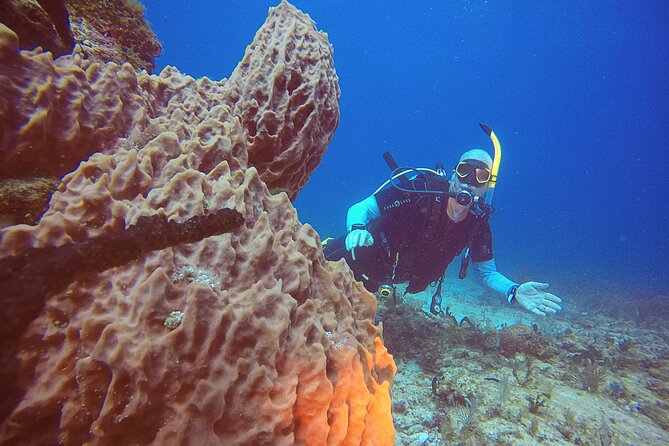 2 Tanks Scuba Diving in Punta Cancun Reefs for Certified Divers - What the $159 price really covers