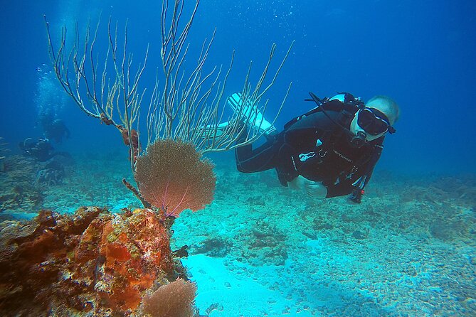 2 Tanks Scuba Diving Wreck and Reef in Cancun for Certified Divers - What the Underwater Experience Feels Like