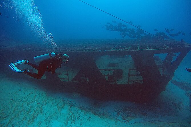 2 Tanks Scuba Diving Wreck and Reef in Cancun for Certified Divers - A Small Boat Group Makes a Difference