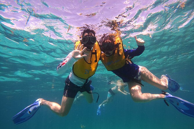 3 in 1 Jungle Tour Adventure Cancun - Finding art beneath the surface at MUSA
