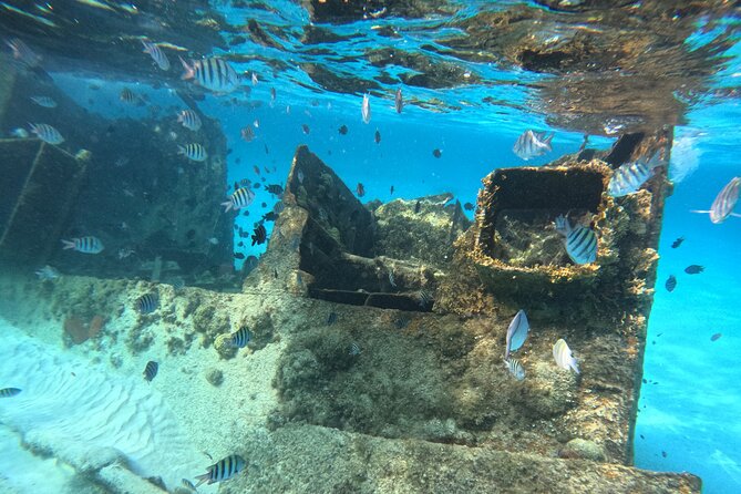 3 in 1 Jungle Tour Adventure Cancun - Timing, group size, and the practical tradeoffs