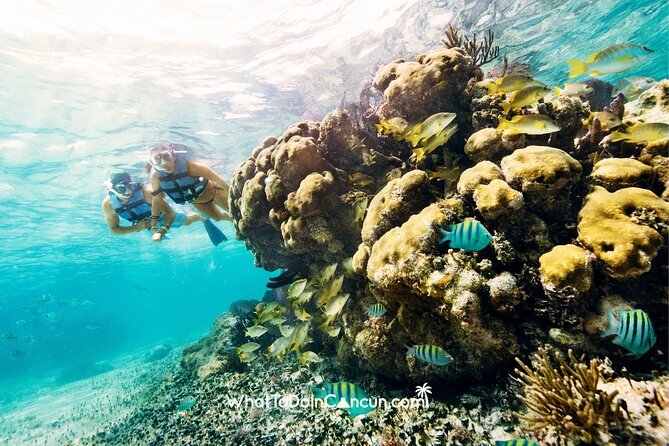 3-in-1 Puerto Morelos: Snorkeling, Tequila & Beachside Lunch - Who should book this outing