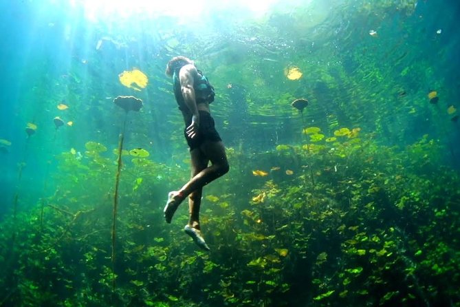 4-in-1 Cenote Tour Guided Experience with Breakfast, Lunch & Wine - What you are really buying for $149.99