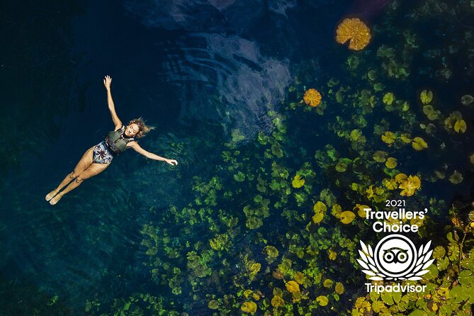 4-in-1 Cenote Tour Guided Experience with Breakfast, Lunch & Wine - Lu’um Earth Xenote and the assisted rappel