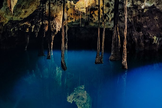4-in-1 Cenote Tour Guided Experience with Breakfast, Lunch & Wine - The jungle picnic after the water activities