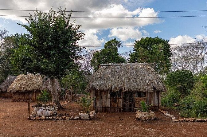 4x1 tour:Tulum/Coba,Cenote,Mayan Village& 5th Av Playa del Carmen - Pickup, timing, and the details that matter