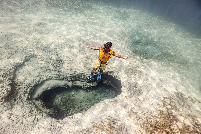 5-in-1 Cancun Snorkeling Tour with Sea Life & Transport Included - Five things to know before you book