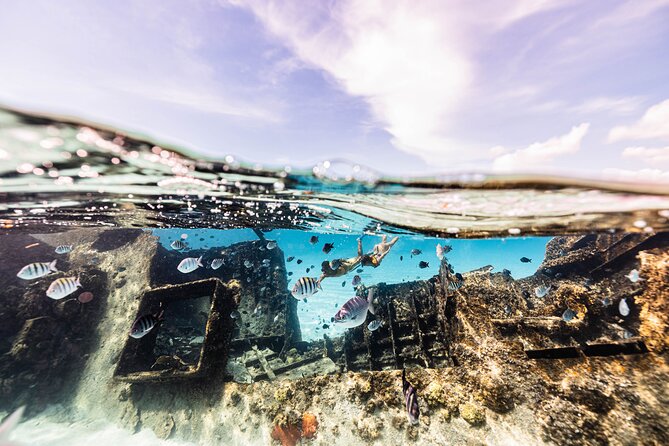 5-in-1 Cancun Snorkeling Tour with Sea Life & Transport Included - The turtle area, with rays as a bonus