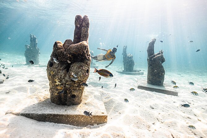 5-in-1 Cancun Snorkeling Tour with Sea Life & Transport Included - The cenote, an unusual final stop