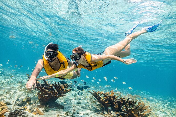 5-in-1 Cancun Snorkeling Tour with Sea Life & Transport Included - What the crew adds to the experience