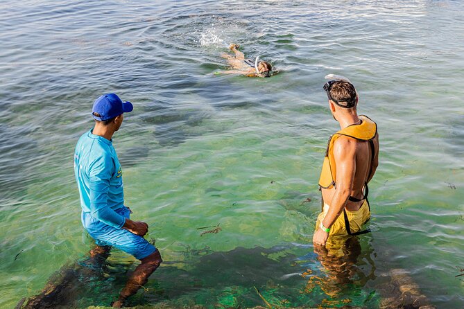 5-in-1 Cancun Snorkeling: Turtles, Reef, Musa, Shipwreck, Cenote - Guides, Safety, and First-Time Snorkelers