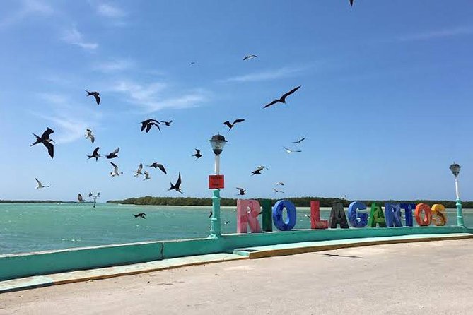 Adventour Day: Coloradas and Rio Lagartos Excursion from Cancun! - What the $135 price really covers
