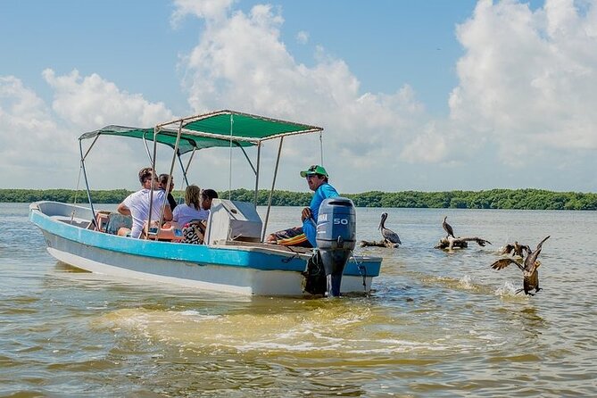 Adventour Day: Coloradas and Rio Lagartos Excursion from Cancun! - What to pack for this Yucatan day