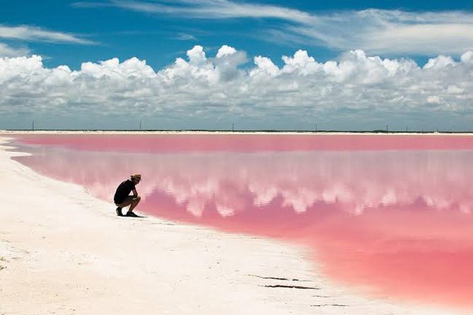 Adventour Day: Coloradas and Rio Lagartos Excursion from Cancun! - Rio Lagartos changes the pace