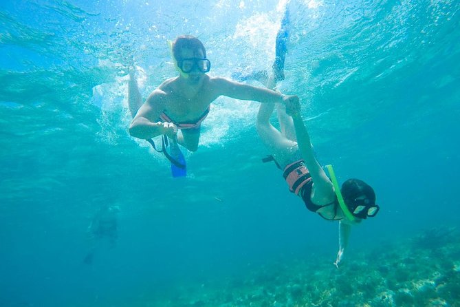 Afternoon Half-Day Catmaran Sailing and Snorkel Adventure - Is the $49.99 fare good value?