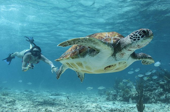 Akumal Cenote Swimming and Snorkeling from Cancun & Costa Mujeres - Important practical checks before you leave