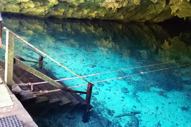 Akumal paradise tour Swimming with Turtles & ancient Tulum Ruins. Lunch included - What the $139 price really covers