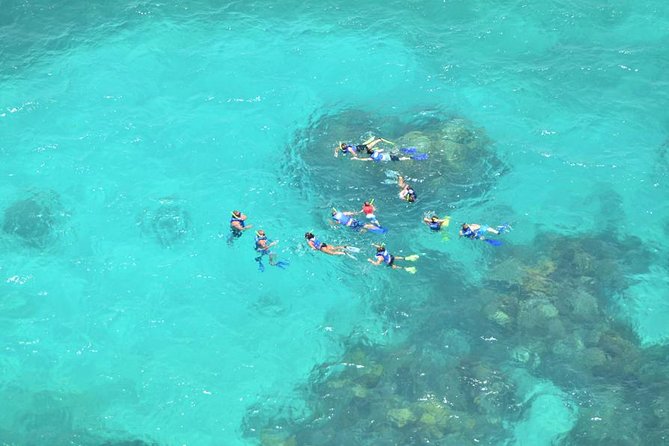 All Inclusive Caribbean adventure, reef snorkeling, Food & Drinks - Timing, language, and practical planning