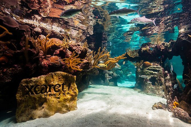 All-inclusive Xcaret Park with Transportation from Cancun & Playa Del Carmen - The morning ride: useful, but pickup needs attention