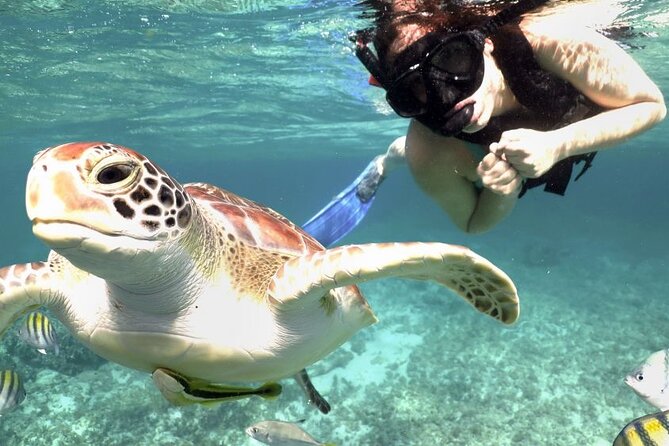 Amazing Adventure in Akumal. Swim with turtles and discover Tulum Ruins. - Tulum and Akumal in one long morning