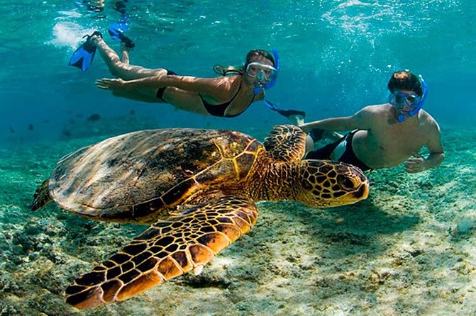 Amazing Adventure in Akumal. Swim with turtles and discover Tulum Ruins. - The boxed breakfast is practical, not memorable