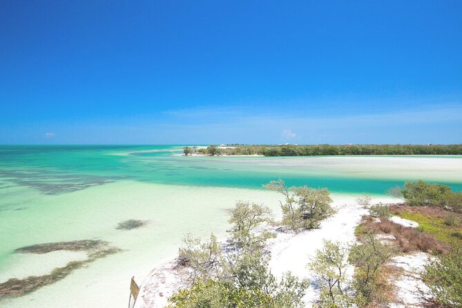 Amazing HOLBOX Full day tour and Cenote swim experience from Cancun! - Three hours to make your own Holbox plan