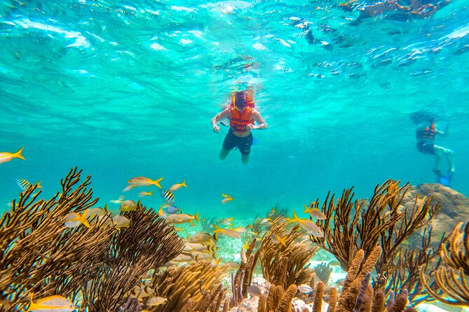 Amazing Snorkeling Experience + Real Mexican Tacos - Tacos, snacks, and a tequila lesson