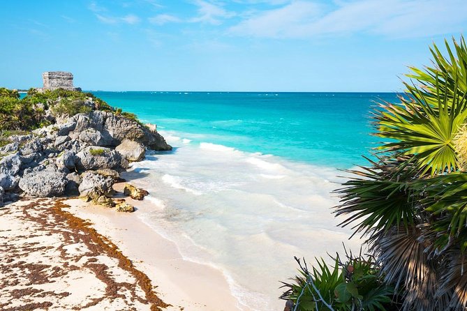 Amazing Tour 4x1 to Coba, Tulum, Cenote & Playa del Carmen. Lunch included - Fifth Avenue in Playa del Carmen