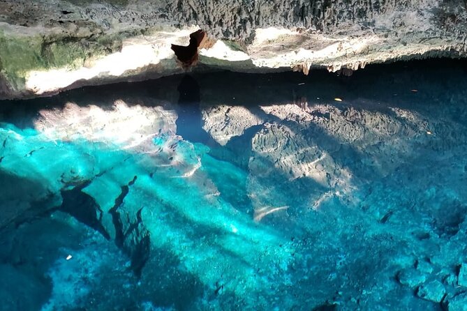 Archaeological Tour in Tulum and Coba with Kuxtal Cenote - Coba, ancient roads, and limited time