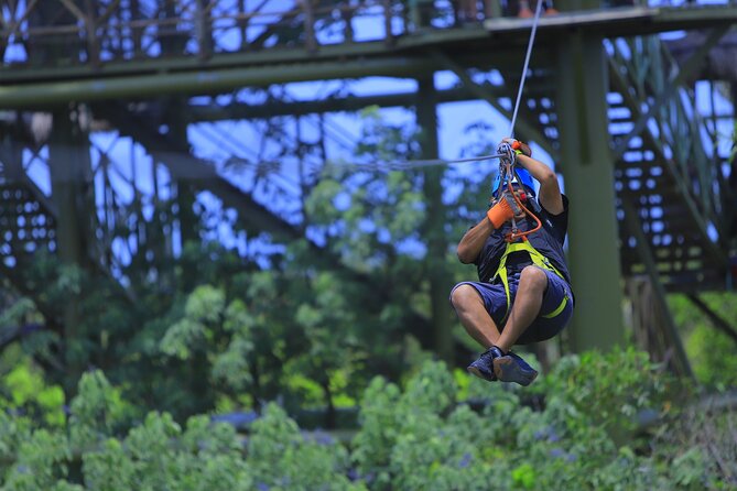 ATV adventure, Ziplines, Cenote Swim, Snack & Transport Included. - Zip lines above the jungle