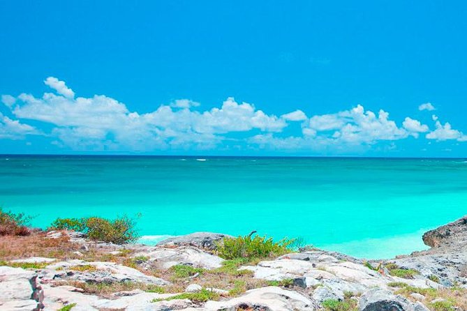 Best Tour to Tulum, Coba and Playa Del Carmen. No hidden fees! - Transport, group size, and the long road home