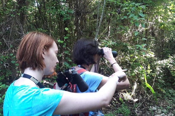 Bird watching ecofriendly tour from Cancun & Riviera Maya - Learning the Mayan jungle beyond bird names