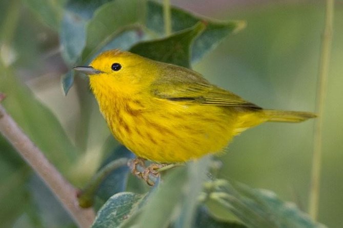 Bird watching ecofriendly tour from Cancun & Riviera Maya - Reaching the jungle near Puerto Morelos