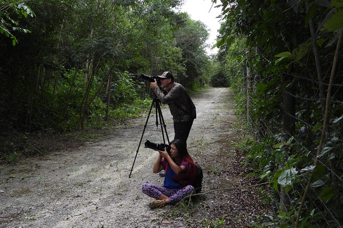 Birds of the Mayan World 2 / Route of the cenotes - Who will enjoy this most?