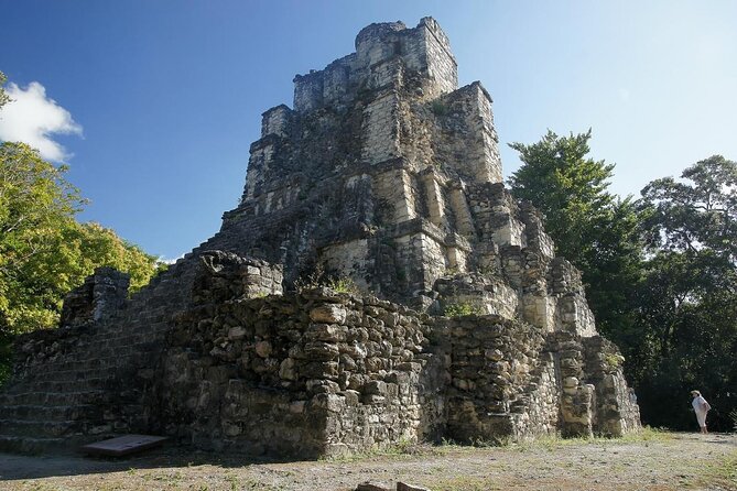 Birds of the Mayan World 3 - Why this Cancun birding tour is different