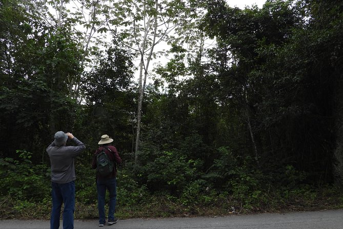 Birds of the Mayan World 3 - Fitness, weather, and what to plan for