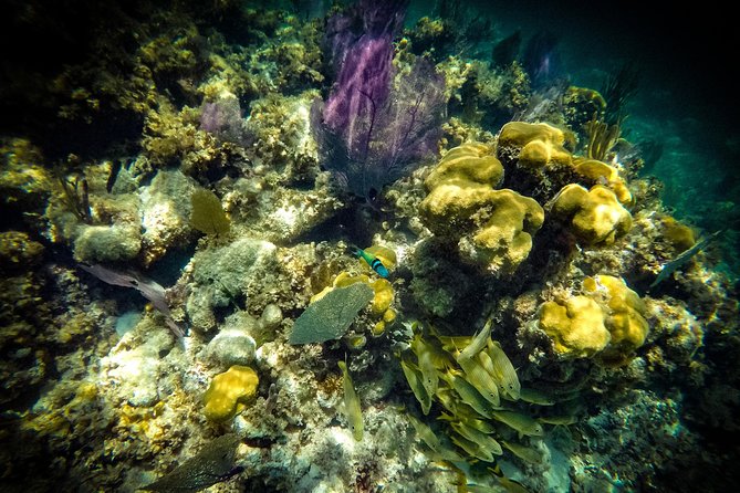 Breathtaking experience driving a speedboat in Cancun with Snorkeling included - Lockers, showers, photos, and what to bring