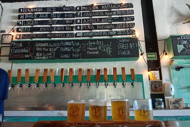 Brewery Tour / Craft Beer Tasting Cancun Mexico - Who Will Enjoy It Most