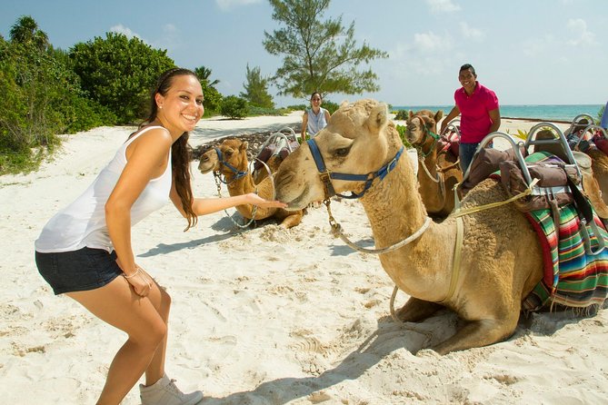 Camel Expedition and Beach Club In Riviera Maya - Meeting, feeding, and photographing the camels